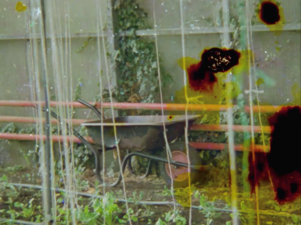wheelbarrow in glasshouse with red and yellow stains across image caused by burying film in organic soil