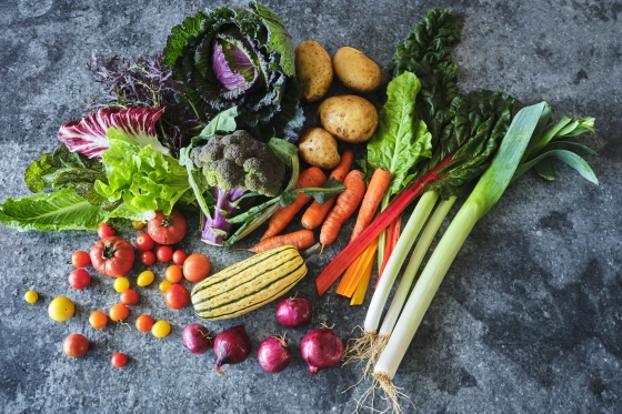 selection of seasonal vegetables on dark background