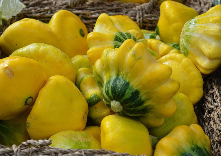 pattypan squash pattipan squash