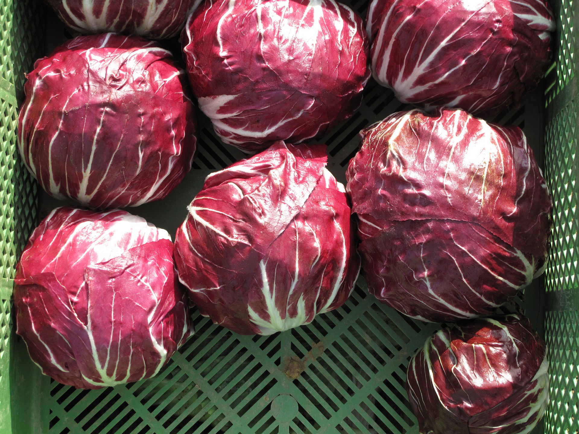 What to do with radicchio