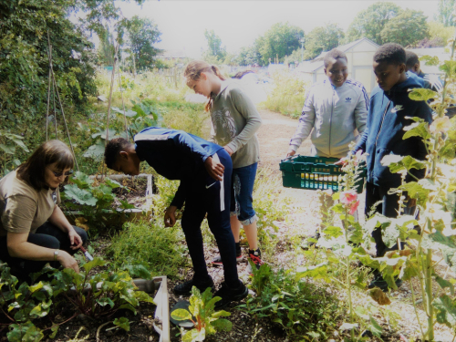 Holiday club at Dagenham Farm