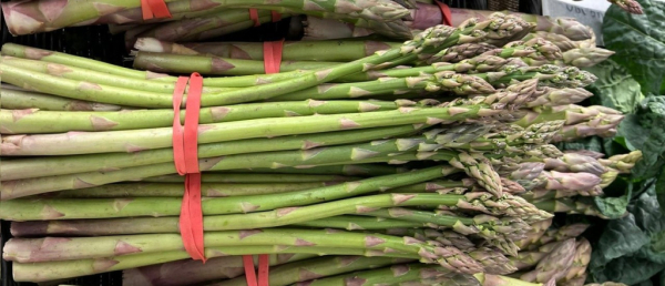 bunches of organic asparagus at Stoke Newington farmers' market