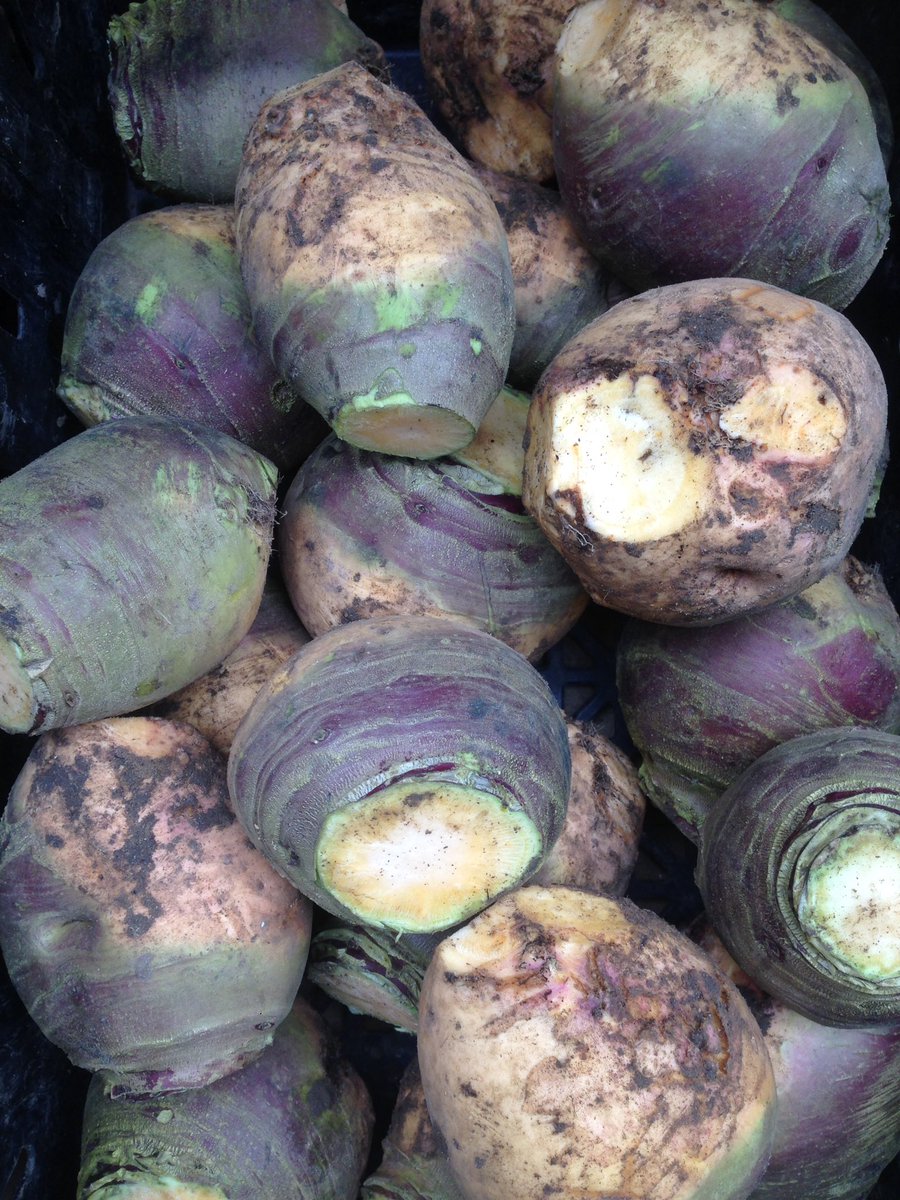 Swede root vegetable