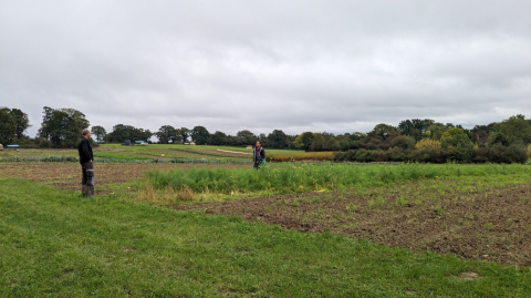 Bore Place Market Garden