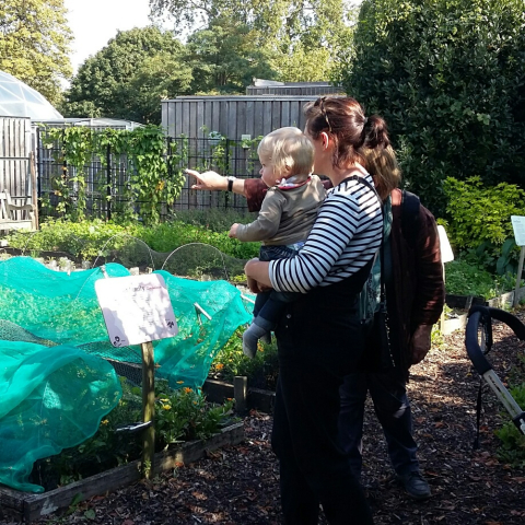 woman holding baby pointing at plants growing in veg garden