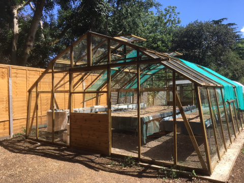 Glasshouse Springfield Park