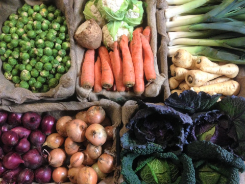 Sarah green's winter veg