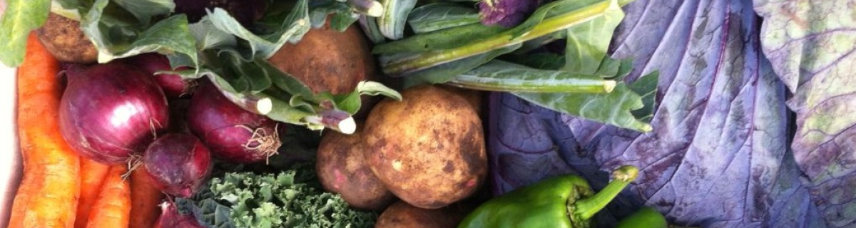 selection of raw brightly coloured seasonal organic vegetables