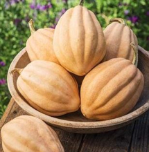 Baked potato squash