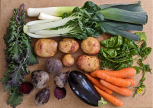 medium organic seasonal veg bag