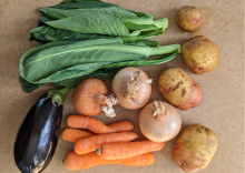 small organic seasonal veg bag