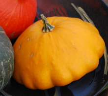 Sunburst or pattypan