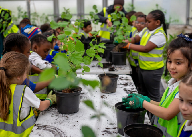 Children planting trees in pots in glasshouse at Dagenham Farm