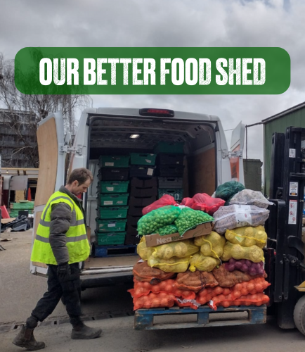 Colourful veg on a pallet