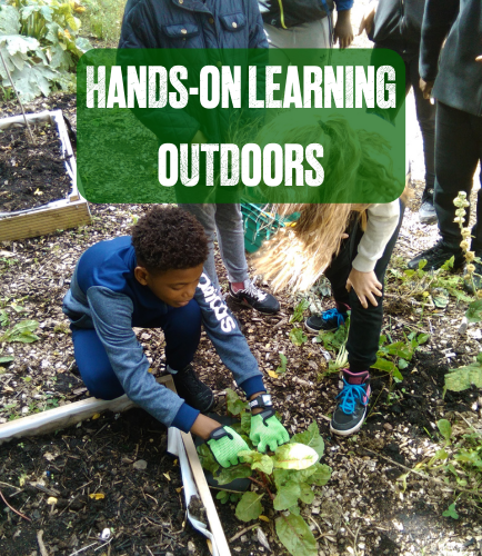 Two children look at a plant