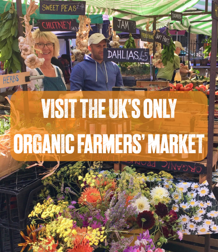 packed market stall with two people amid flowers, vegetables and signs