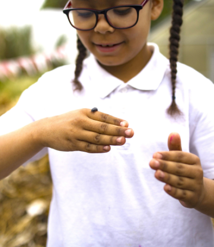 school child looking intently at insect on her hand