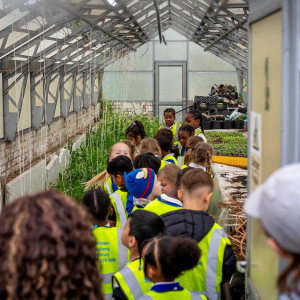 school children visit a glasshouse at Dagenham Farm