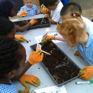 kids sowing seeds at Dagenham Farm