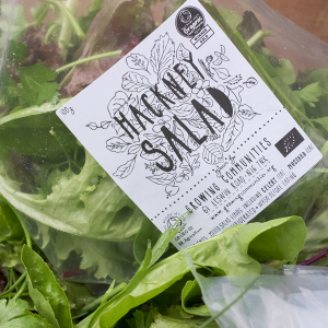 Hackney salad bag photograph by Walter Lewis
