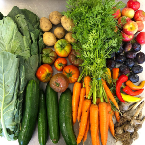 fresh organic vegetables supplied by Better Food Shed spread out on flat base