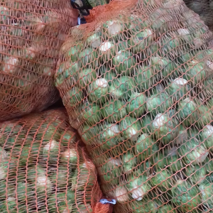 sprouts in sacks