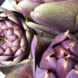 organic globe artichoke