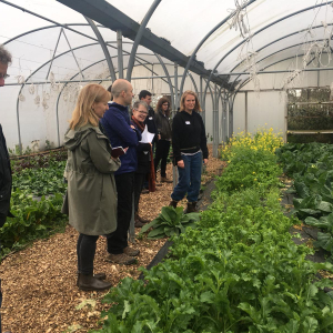 Defra delegates visit the Dagenham Farm