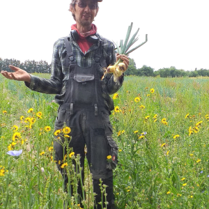Martin Ripple Farm Cantebury