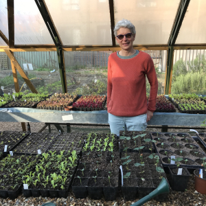 Sophie urban food growing 