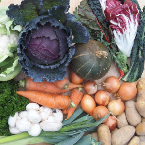 contents of a typical veg bag