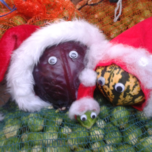 Christmas vegetable nativity scene