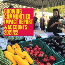 Impact report and accounts 2022