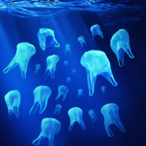 plastic bag ocean waste
